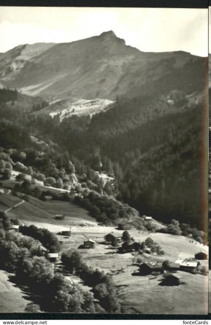 Tschiemen Habkern Heim