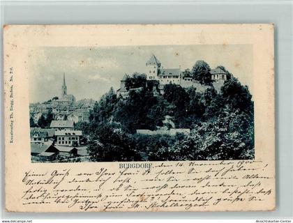 10195896 - Burgdorf Berthoud