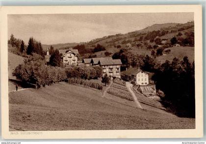 10621602 - Heustrich Reichenbach im Kandertal