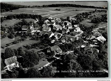 13149635 - Prêles