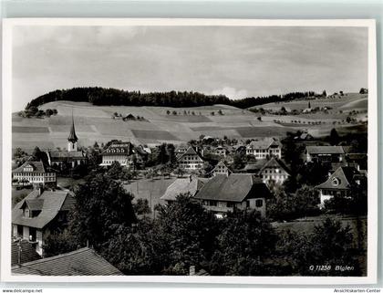 13223237 - Biglen