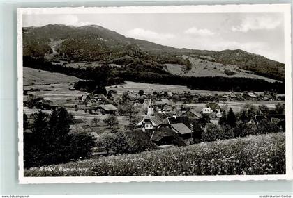 13223245 - Blumenstein