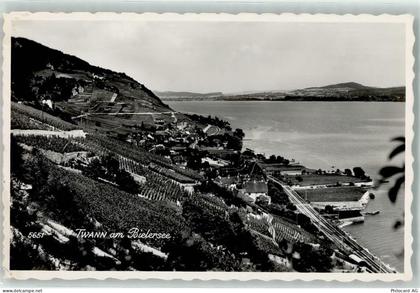 2513 Twann - Bielersee Rebberg - 10604808
