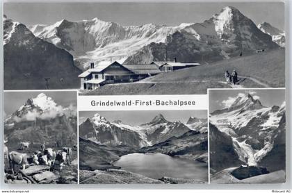 3818 Grindelwald Schwendi b. Grindelwald - Grindelwald, Bachalpsee - 50438861