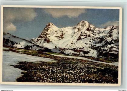 3825 Mürren - Bergfrühling bei Mürren Eiger Mönch - 12113226