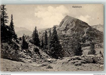 39532475 - Burgdorf Berthoud
