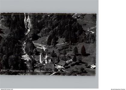 50331403 - Blumenstein