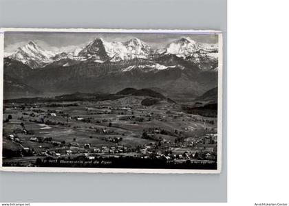 50331457 - Blumenstein