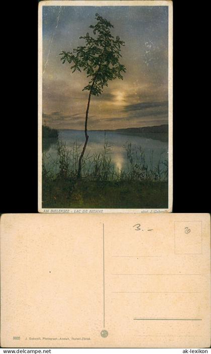 Ansichtskarte Biel Bienne Bielersee Lac de Bienne - Stimmungsbild 1932