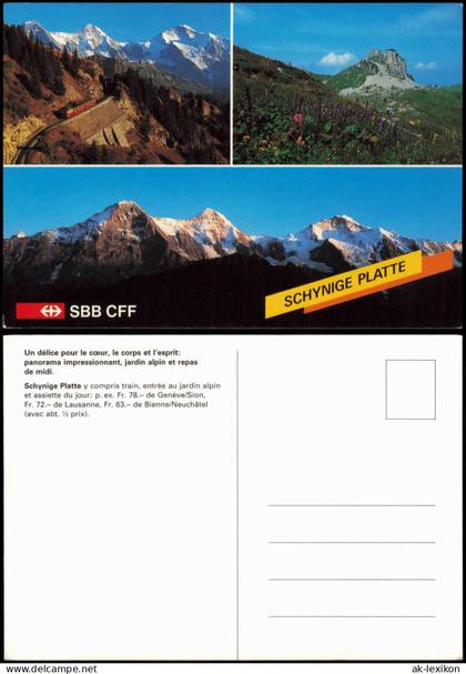 Ansichtskarte Gsteigwiler Mehrbildkarte Schynige Platte 1980