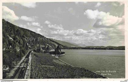 Bielersee Lac de Bienne BE Eisenbahn Uferregion