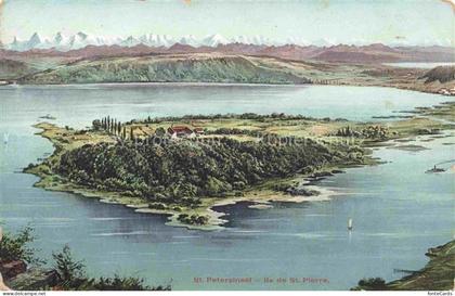 Bielerseeinsel Lac de Bienne BE Vue aerienne