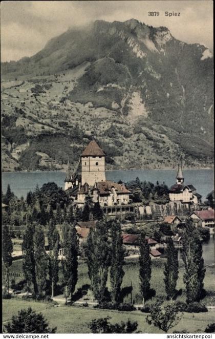 CPA Aeschi bei Spiez Kanton Bern, Ort mit Umgebung