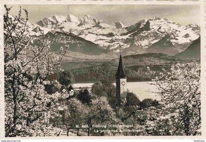 Hilterfingen Thunersee BE Fruehling in Hilterfingen