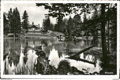 Kandergrund Partie am Blausee Bergsee