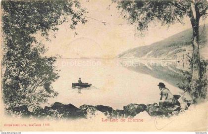 Lac de Bienne Bielersee BE Vue panoramique