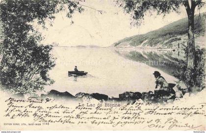 Lac de Bienne Bielersee BE Vue panoramique