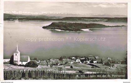 Ligerz Bielersee BE Panorama Blick auf St. Petersinsel Bielersee