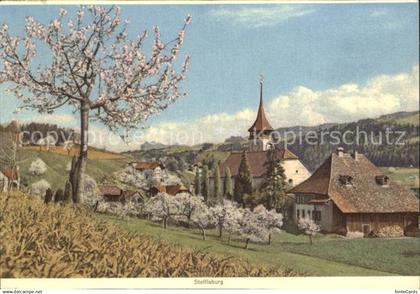 Steffisburg Kirche Panorama