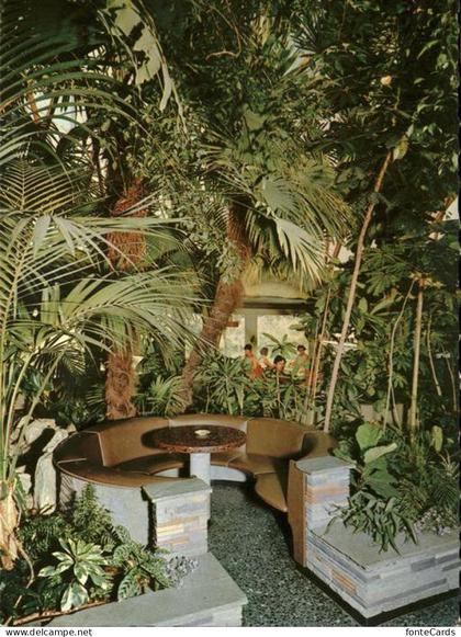 Studen BE Tropenpflanzen Cafe Florida Studen Biel