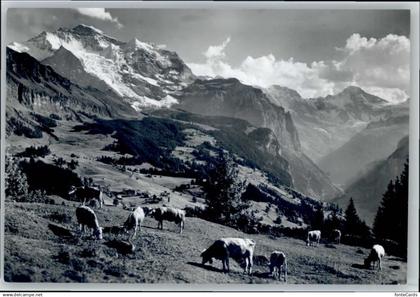 Wengen BE Wengen