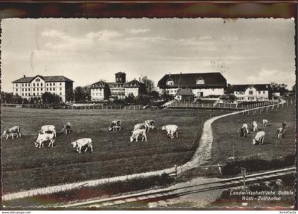 Zollikofen Landwirtschaftliche Schule Kuehe