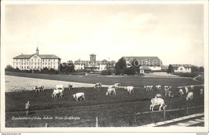 Zollikofen Landwirtschaftschule Kuehe