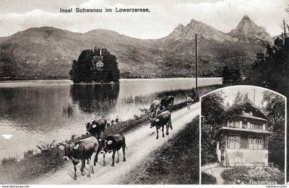 SUISSE - BE (BERNE) < INSEL SCHWANAU IM LOWERZERSEE +  FISCHERHAUS