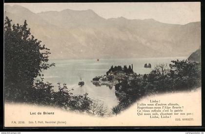 AK Brienz /BE, Lac de Brienz, Vue générale