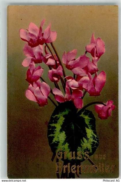 3856 Brienzwiler - Photochromie Serie 562 Nr. 1363 Blumenportrait - 39698832