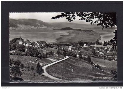 SUISSE ERLACH CERLIER Petersinsel, Ile St Pierre, Vue Générale, ed Ag 3025, 194?
