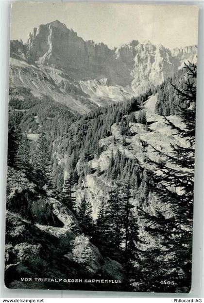 3863 Gadmen Foto AK Gadmentfluh - 38022387