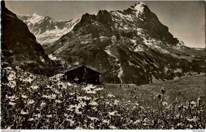 Grindelwald
