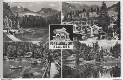 (13891) Foto AK Kandergrund, Blausee, Mehrbildkarte 1967