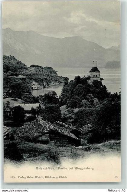 3852 Ringgenberg BE - Brienzersee - 10599269