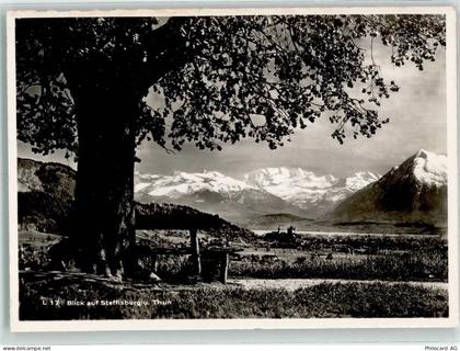 3612 Steffisburg - 10303919