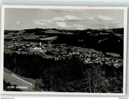 3454 Sumiswald - 10303939