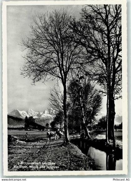 3600 Thun - 10311662