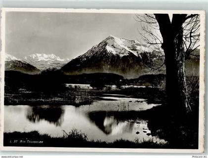 3600 Thun - 10311732