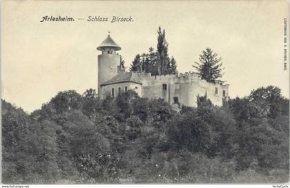 10543187 Arlesheim Arlesheim Schloss Birseck * Arlesheim
