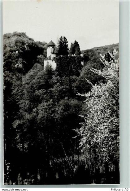 4144 Arlesheim - Schloss Birseck - 10305942