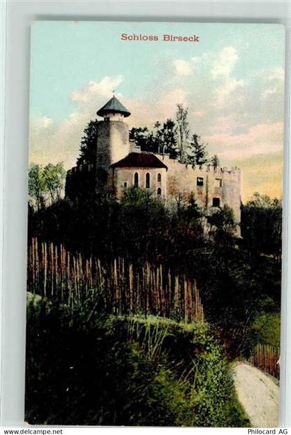 4144 Arlesheim - Schloss Birseck - 10622102