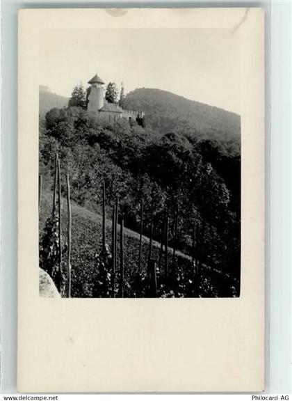 4144 Arlesheim - Schloss Birseck - 10622103