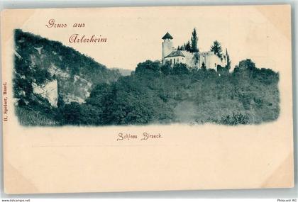 4144 Arlesheim - Schloss Birseck - 13908434
