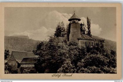 4144 Arlesheim - Schloss Birseck - 50776131