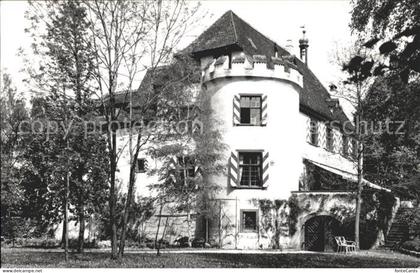 11738912 Binningen Arlesheim Schloss Binningen