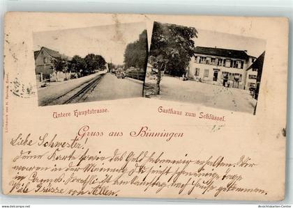 13623189 - Binningen