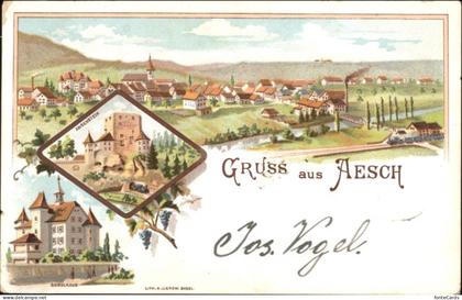 Aesch BL Angenstein