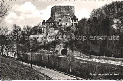 Aesch BL Schloss Angenstein