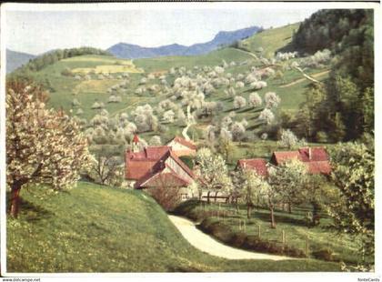 Waldenburg BL Baselbiet bei Waldenburg x 1959